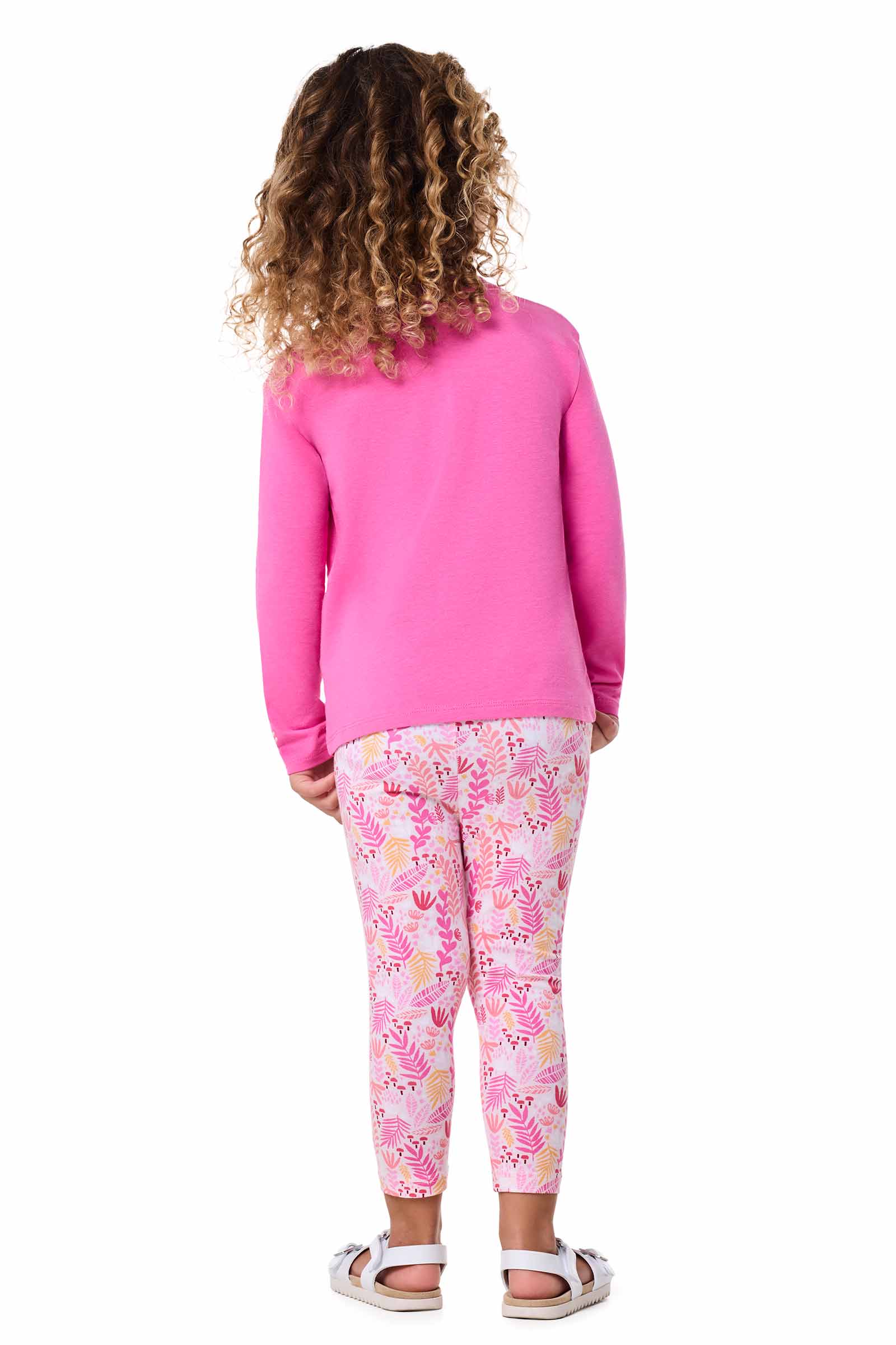 Color_Tulip Pink Blooming Forest