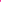Women's Lawai Ruche Swim Shirt | Fuchsia
