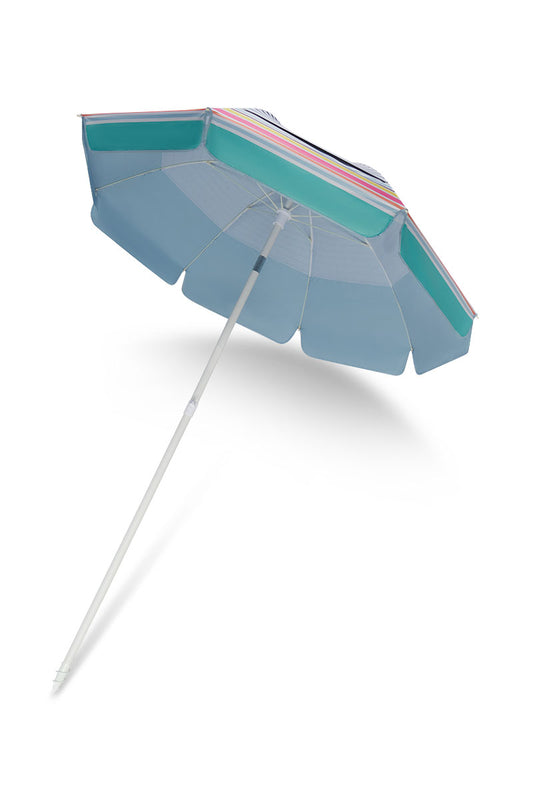 Color_ Multicolor