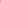 Women's Isla Convertible Wrap | Fuchsia Bouquet