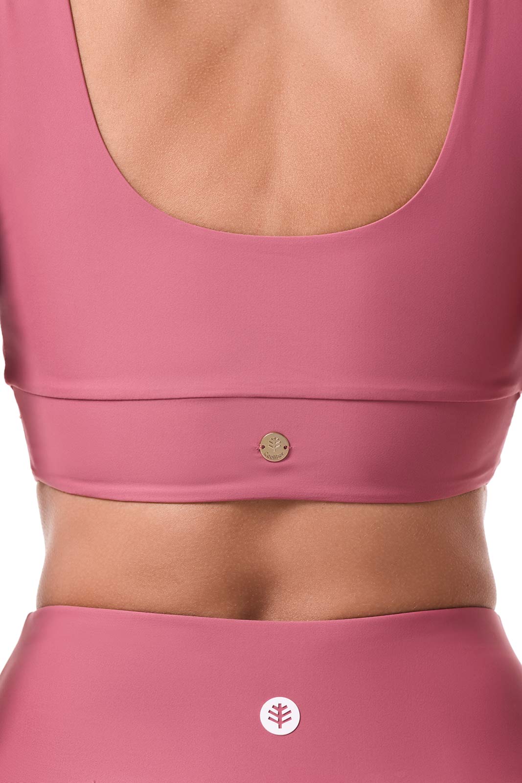 Color_Terracotta Rose