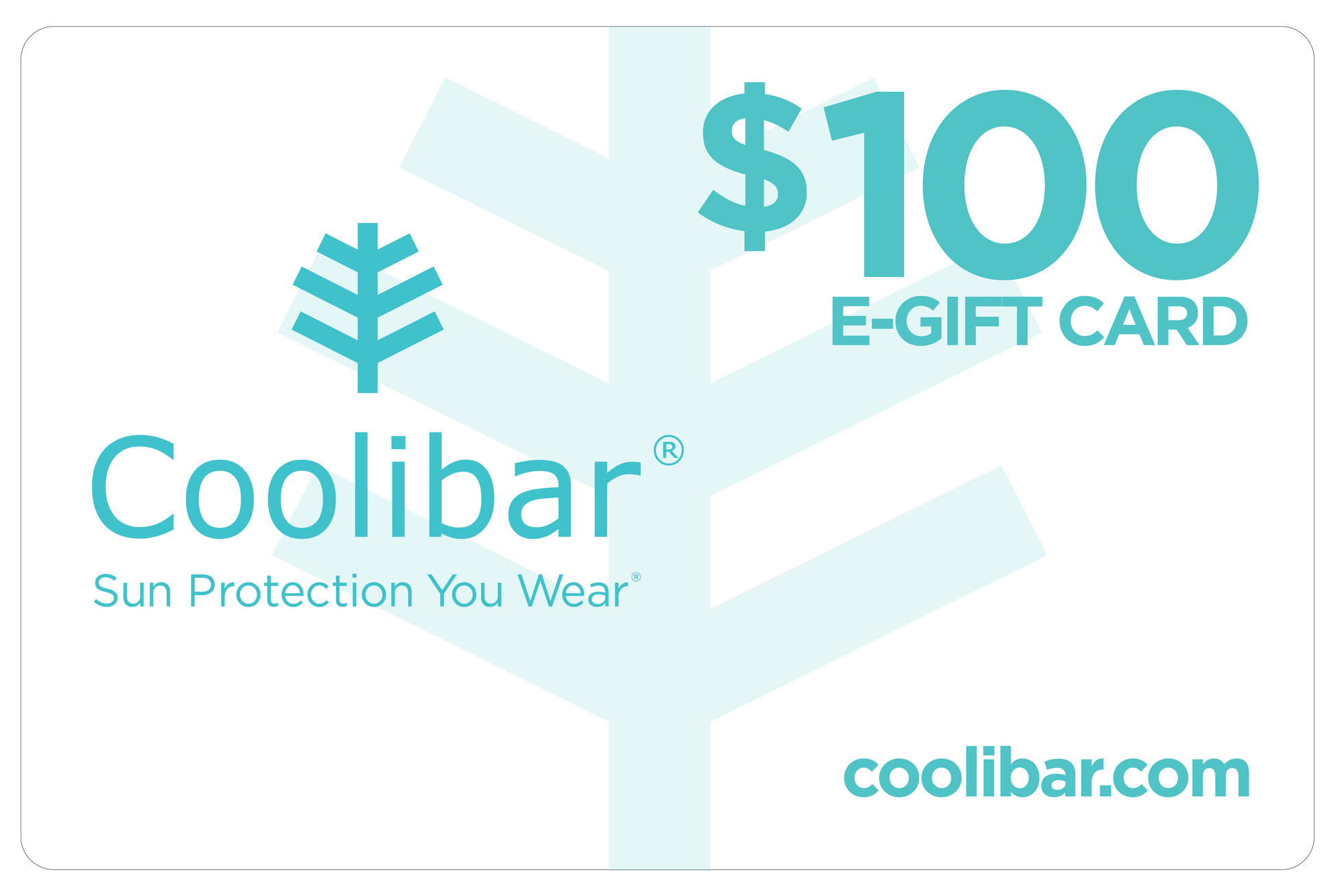 ecomposer-denomination-$100