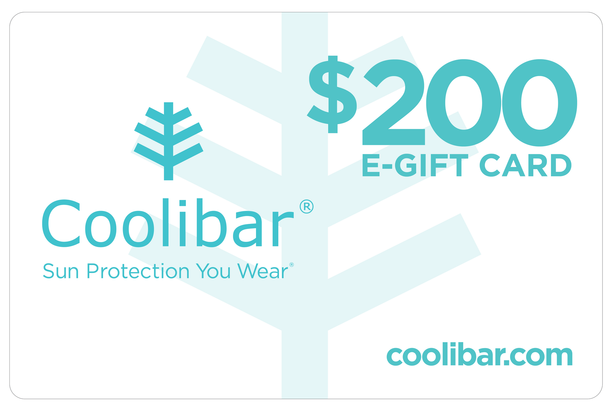 ecomposer-denomination-$200