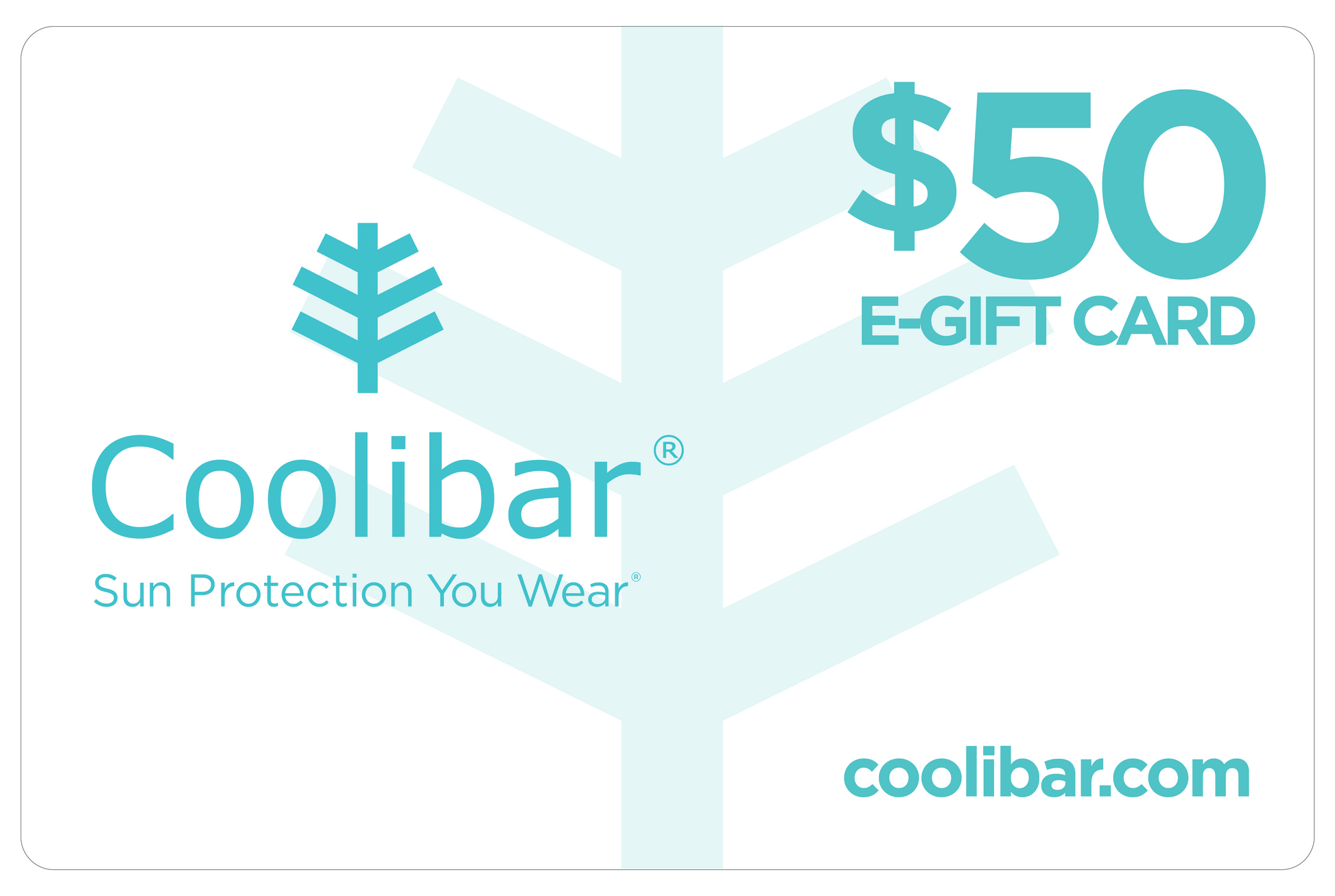 ecomposer-denomination-$50